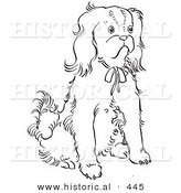 Historical Vector Illustration of a Cavalier King Charles Spaniel Dog Sitting and Staring - Outlined Version by Al