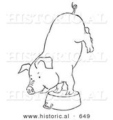 Historical Vector Illustration of a Circus Pig Doing a Handstand on a Kitchen Pot - Outlined Version by Al