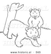 Historical Vector Illustration of a Cub Bears Playing by a Tree Trunk - Outlined Version by Al