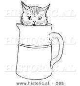 Historical Vector Illustration of a Funny Kitten Playing in a Cup - Outlined Version by Al