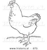 Historical Vector Illustration of a Hen Standing on Grass - Outlined Version by Al
