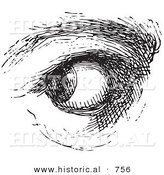 Historical Vector Illustration of a Human Eye Looking over - Black and White Version by Al