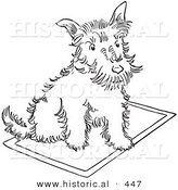 Historical Vector Illustration of a Scottie Dog Sitting on a Rug - Outlined Version by Al