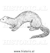 March 25th, 2014: Illustration of a Fisher - Black and White by Al