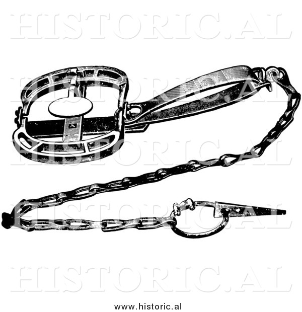 Clipart of a Steel Animal Clamp Trap with Chain - Black and White Drawing