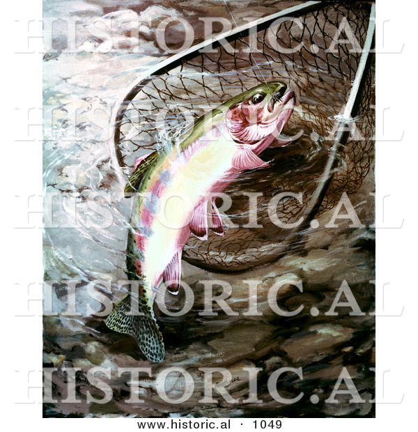 Historical Illustration of a Golden Trout in a Fishing Net