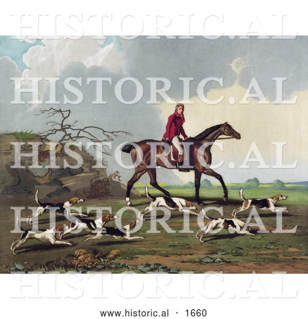 Historical Illustration of a Man, Captain Ricketts, on Horseback, Fox Hunting with Dogs