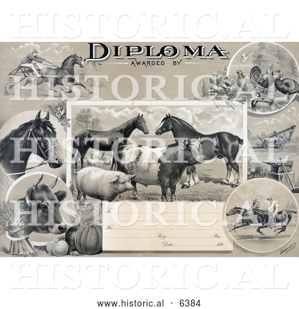 Historical Illustration of an Agricultural Diploma with Jockeys Racing Horses, Livestock, Produce and Farming Tools