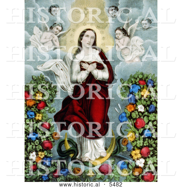 Historical Illustration of Virgin Mary with Angels, Snake and Flowers, Immaculate Conception