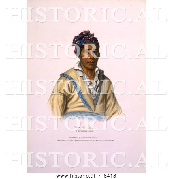 Historical Image of Cherokee Indian Chief Named Spring Frog