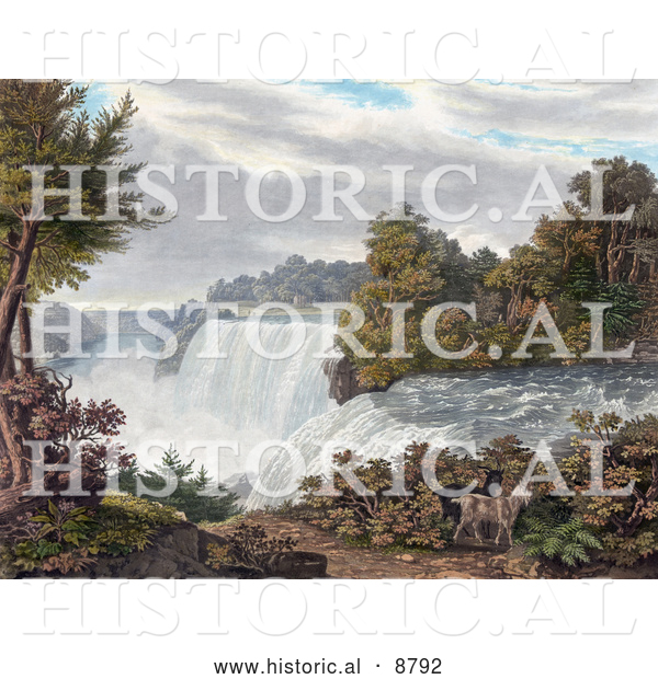 Historical Image of Two Goats near American Falls, Niagara Falls, from Goat Island