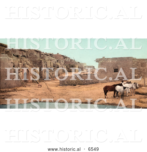 Historical Photo of Brown and White Horses near a Pool of Water at Acoma Pueblo, New Mexico