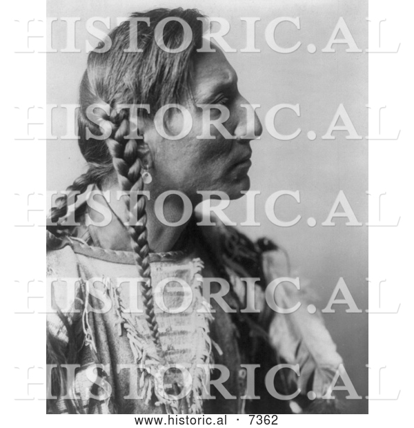 Historical Photo of Mandan Native American Man with Braids, Spotted Bull 1908 - Black and White