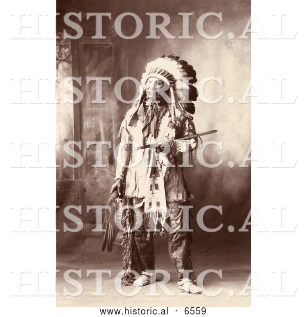 Historical Photo of Native American Named Chief American Horse, Oglala Sioux Indian, in Full Regalia and Feathered Headdress - Sepia