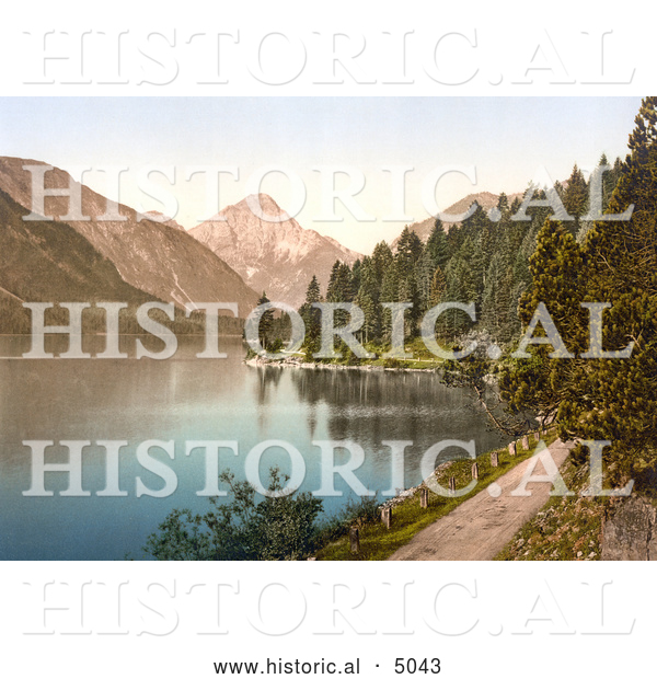 Historical Photochrom of a Dirt Road and Forest on the Shore Plansee Lake in Tyrol, Austria