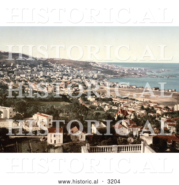 Historical Photochrom of Algiers, Algeria