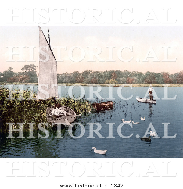 Historical Photochrom of Ducks and Men in Boats on the Trinity Broads Ormesby Norfolk Engngland