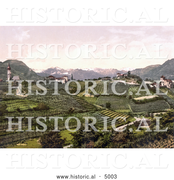 Historical Photochrom of Grapevine Winery Hills in San Paolo, St. Paul’s, Eppan, Tyrol, Austria