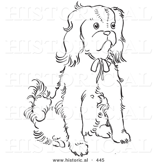 Historical Vector Illustration of a Cavalier King Charles Spaniel Dog Sitting and Staring - Outlined Version