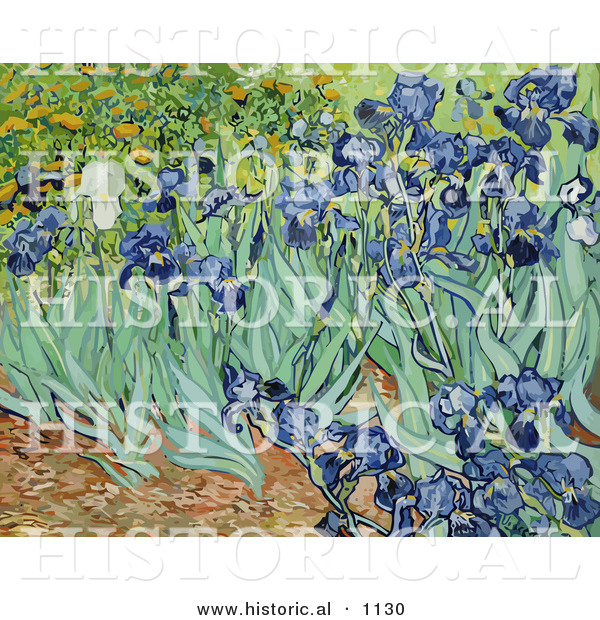 Historical Vector Illustration of a Flower Bed of Irises - Vincent Van Gogh Painting