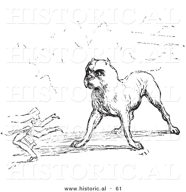 Historical Vector Illustration of a Tough Guard Dog Staring - Black and White Version