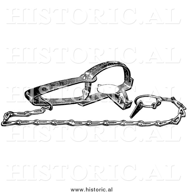 Illustration of a Quality Steel Muskrat Trap - Black and White