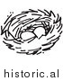 Clipart of Two Eggs in a Bird Nest - Black and White Drawing by Picsburg