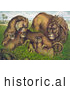 Historical Illustration of a Family of Lions in Grass with Babies by JVPD