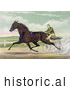 Historical Illustration of a Man Racing a Horse on a Two Wheel Sulky by JVPD