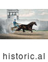 Historical Illustration of Dan Mace Racing and Driving Trotting Horse Judge Fullerton by JVPD