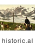 Historical Photochrom of a Man with St Bernard Dogs by JVPD