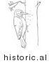Historical Vector Illustration of a Woodpecker Pecking Holes in a Tree - Outlined Version by Picsburg