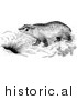 Illustration of a Badger by a Den - Black and White by Picsburg