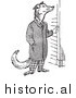 Illustration of a Cartoon Wolf Ringing Doorbell by Picsburg