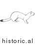 Illustration of a Weasel out and About - Black and White by Picsburg